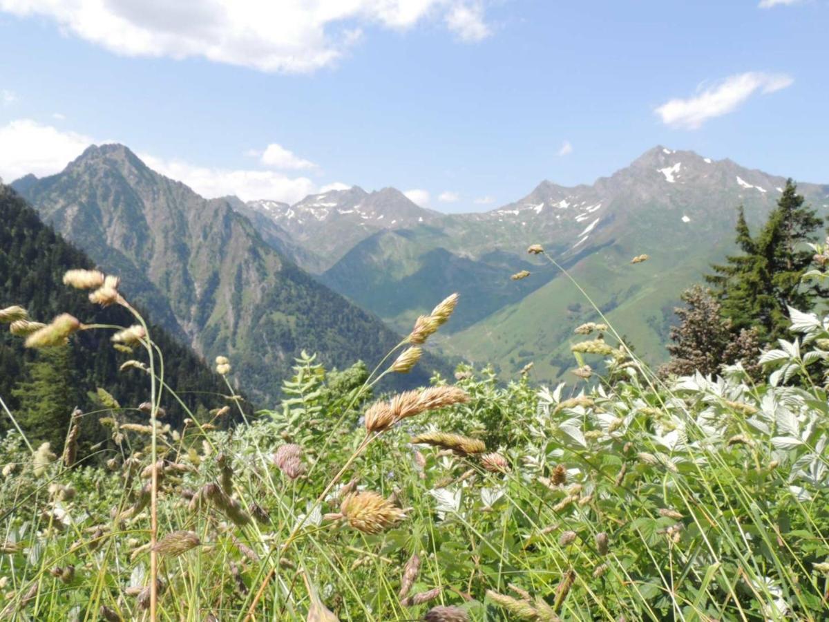 Studio Pour 4 Personnes Au Centre De Cauterets, Proche Telecabines Et Thermes - Fr-1-234-269 Exterior foto